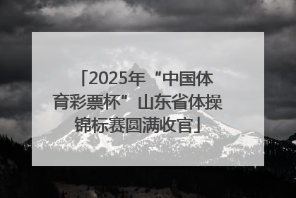 2025年“中国体育彩票杯”山东省体操锦标赛圆满收官