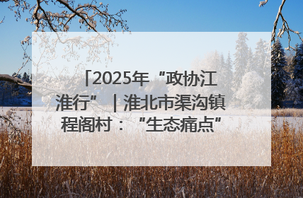 2025年“政协江淮行”｜淮北市渠沟镇程阁村：“生态痛点”变“生态景观”