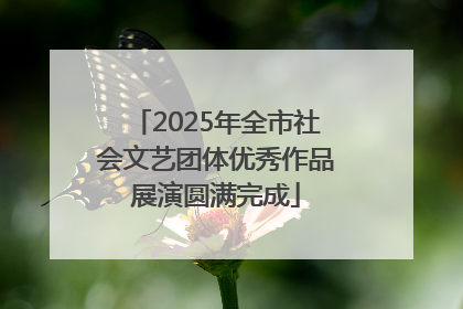 2025年全市社会文艺团体优秀作品展演圆满完成