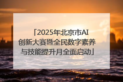 2025年北京市AI创新大赛暨全民数字素养与技能提升月全面启动