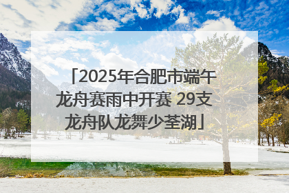 2025年合肥市端午龙舟赛雨中开赛 29支龙舟队龙舞少荃湖