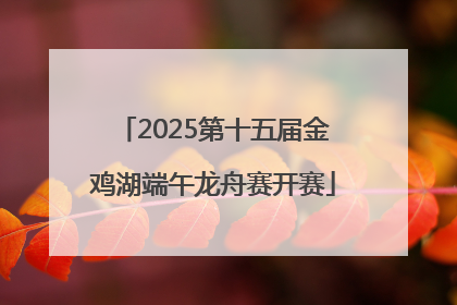 2025第十五届金鸡湖端午龙舟赛开赛
