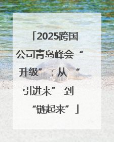 2025跨国公司青岛峰会“升级”：从 “引进来” 到 “链起来”