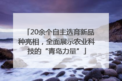 20余个自主选育新品种亮相，全面展示农业科技的“青岛力量”