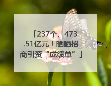 237个、473.51亿元！晒晒招商引资“成绩单”