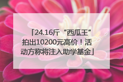 24.16斤“西瓜王”拍出10200元高价！活动方称将注入助学基金