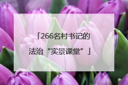 266名村书记的法治“实景课堂”