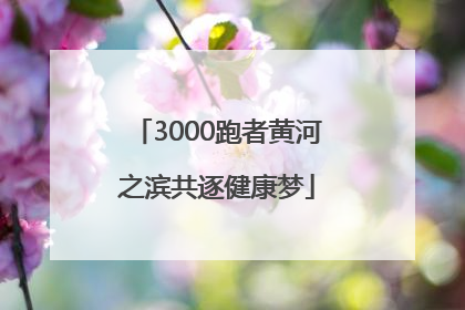 3000跑者黄河之滨共逐健康梦