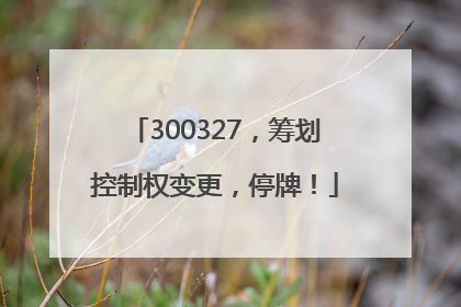 300327，筹划控制权变更，停牌！