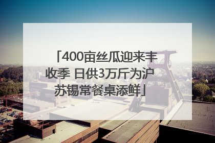 400亩丝瓜迎来丰收季 日供3万斤为沪苏锡常餐桌添鲜