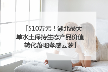 510万元！湖北最大单水土保持生态产品价值转化落地孝感云梦