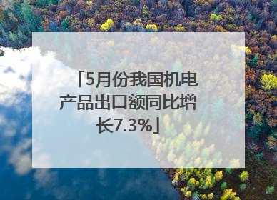 5月份我国机电产品出口额同比增长7.3%