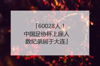 60028人！中国足协杯上座人数纪录属于大连