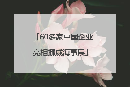 60多家中国企业亮相挪威海事展