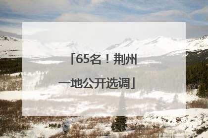65名！荆州一地公开选调