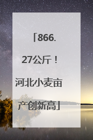 866.27公斤！河北小麦亩产创新高