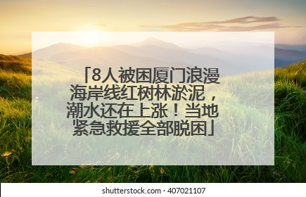 8人被困厦门浪漫海岸线红树林淤泥，潮水还在上涨！当地紧急救援全部脱困