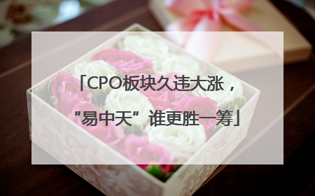 CPO板块久违大涨，“易中天”谁更胜一筹
