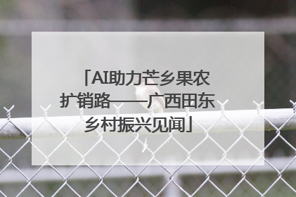 AI助力芒乡果农扩销路——广西田东乡村振兴见闻