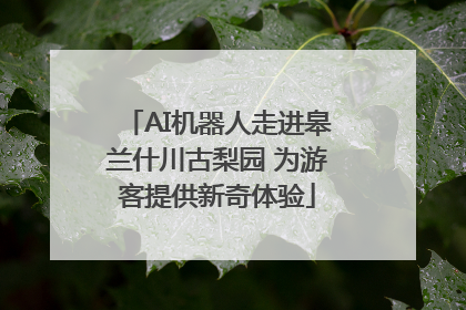 AI机器人走进皋兰什川古梨园 为游客提供新奇体验