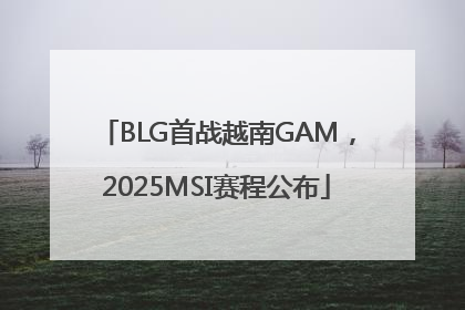 BLG首战越南GAM，2025MSI赛程公布