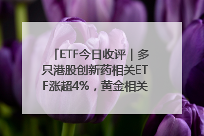 ETF今日收评｜多只港股创新药相关ETF涨超4%，黄金相关ETF跌逾1%
