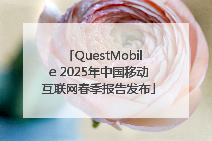 QuestMobile 2025年中国移动互联网春季报告发布